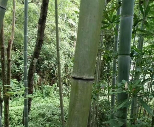 1640662436187693.jpg 1640662436187693.jpg