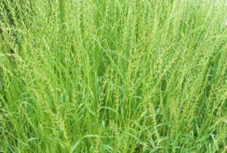 1646190862286792.jpg 1646190862286792.jpg