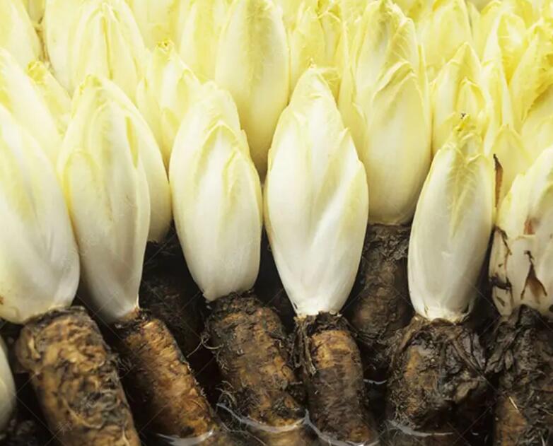 1654253041435445.jpg 1654253041435445.jpg